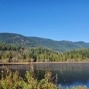 3 items in bundle for $10